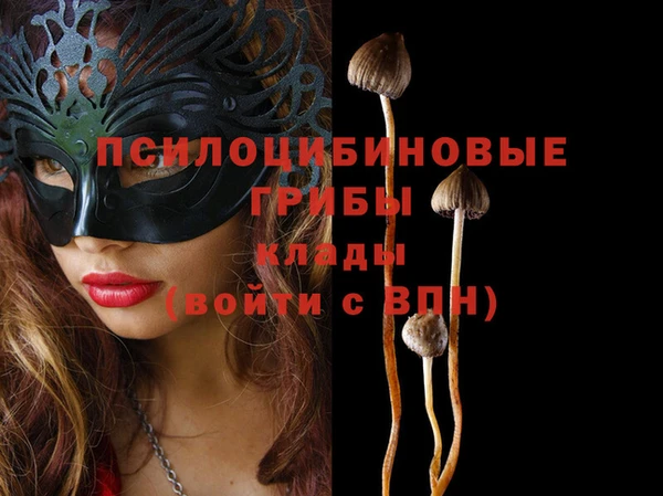 кокс Алзамай