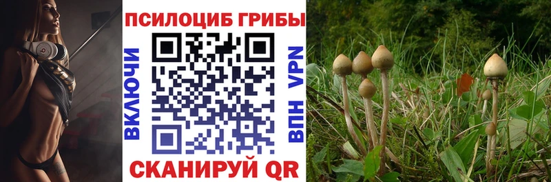 Галлюциногенные грибы прущие грибы  shop формула  Губкин 