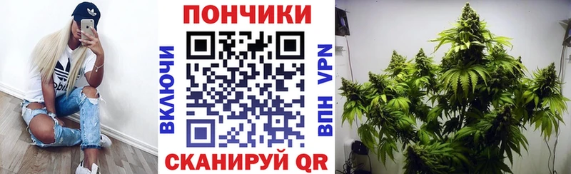 наркошоп Губкин omg Конопля White Widow